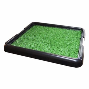 Sanitário Canino Brincalhão com Grama — PandKi